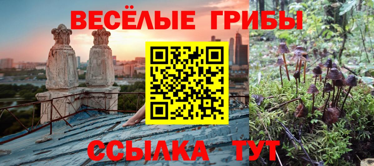 Галлюциногенные грибы Cubensis Дятьково