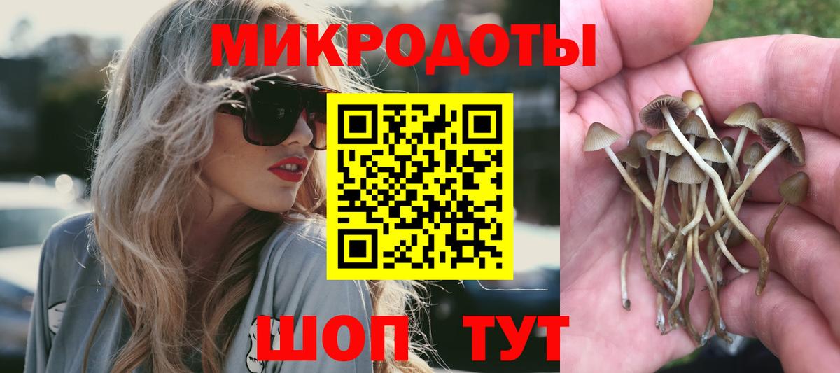 Дятьково  Псилоцибиновые грибы MAGIC MUSHROOMS  Вход с VPN 